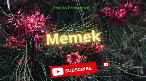 memek meaning